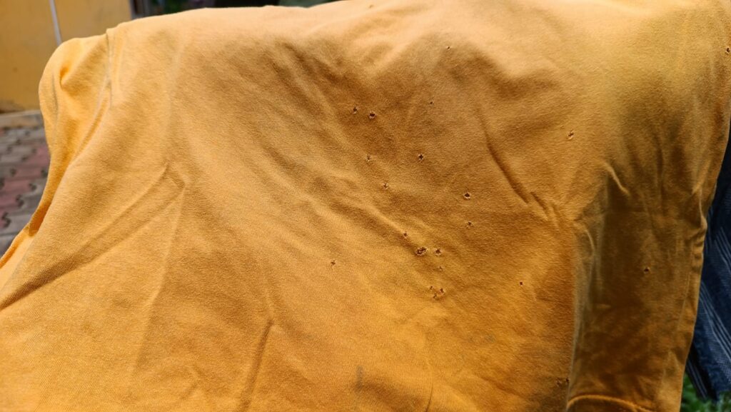 Can fire ants bite through cotton clothes