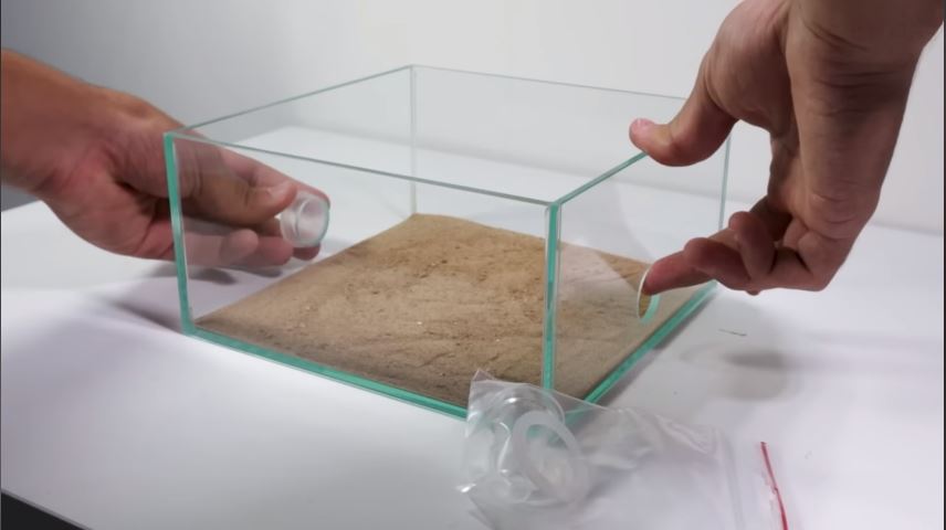 aware about the size when choosing the formicarium for fire ants