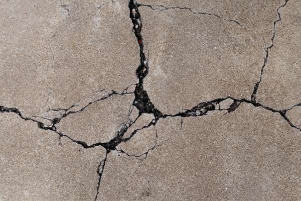 seal the cracks to get rid of carpenter ants in concrete